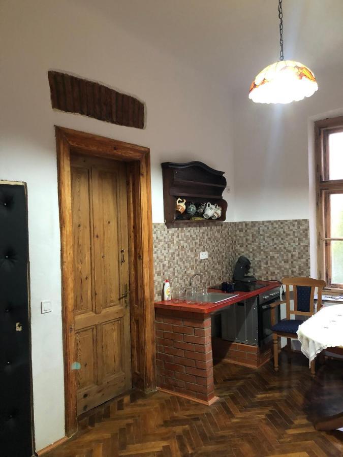 Ferienwohnung Cezara Mediaş Exterior foto